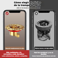 🔥¡Compra 1 y llévate 1 GRATIS!（2 piezas）🔥 Desagüe universal de latón para suelo con núcleo desodorizante antiolor 🚿✨