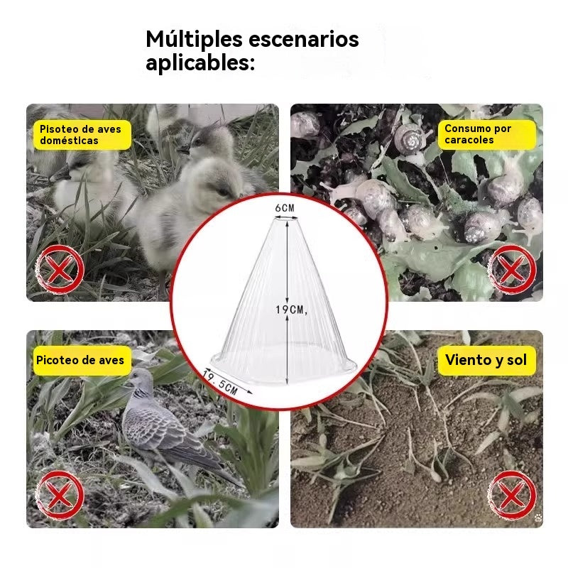 🔥20 piezas 25 euros🥬🥦Plántulas de melón, plántulas de hortalizas, cubiertas vegetales: conservación térmica, protección contra aves, insectos