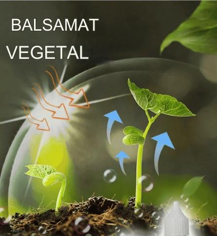 🎁🌱🌱Solución líquida que activa plantas y flores