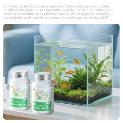 【Compra 1 y llévate 1 gratis】Eliminador de algas y musgo para acuarios, elimina algas verdes y marrones, y elimina algas negras y verdes de estanques de peces.