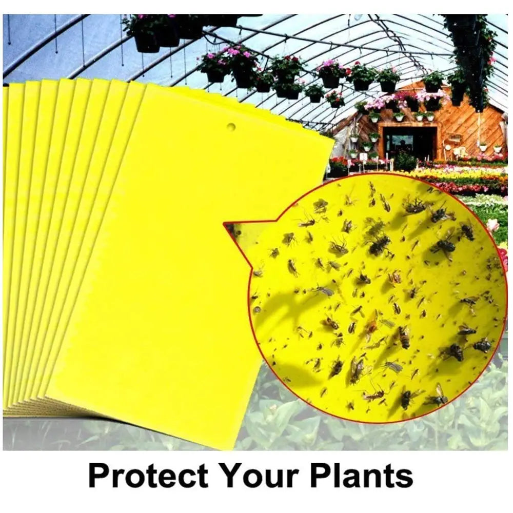 💥【30 piezas】Tablero adhesivo de insectos de doble cara amarillo
