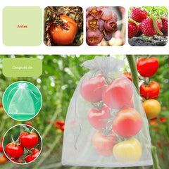🔥【50 piezas（24*38cm）】Red de insectos para moscas de frutas, red de protección de árboles de paisaje para pájaros, bolsas de red de jardín para proteger flores, plantas, frutas, verduras