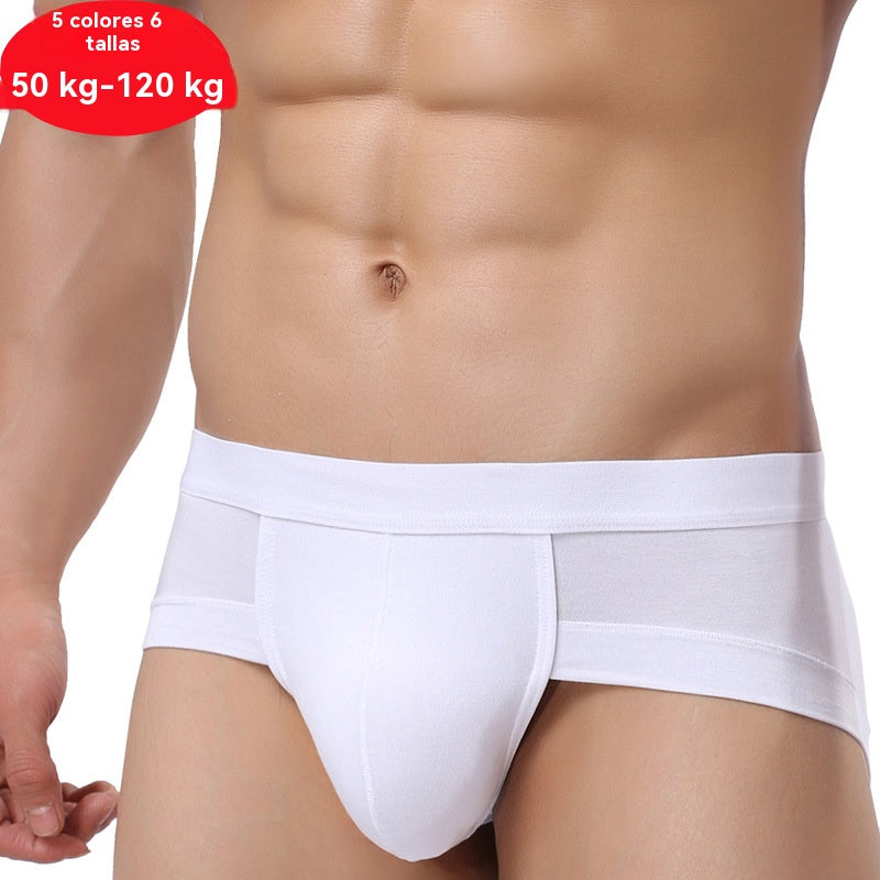 🔥✨【Juego de 5 piezas】[M-4XL] 🩲Pantalones cortos de modal para hombre