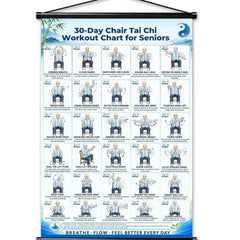 Póster de ejercicios de Tai Chi para personas mayores