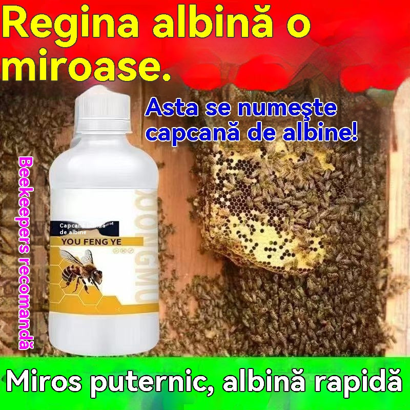 【✨Compre 1 y obtenga 1 gratis】🐝✨ Atrayente Natural para Abejas de Alta Eficacia – Spray Vegetal con Aroma a Miel para Fortalecer Colmenas