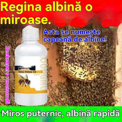 【✨Compre 1 y obtenga 1 gratis】🐝✨ Atrayente Natural para Abejas de Alta Eficacia – Spray Vegetal con Aroma a Miel para Fortalecer Colmenas