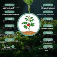 🔥【Compre 10 y obtenga 10 gratis】 Fertilizante foliar soluble "Patata Mágica"｜Para patatas, cacahuetes, batatas, rábanos, taro y cebollas – estimula las raíces y aumenta la producción