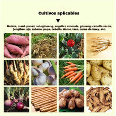 【10 bolsas】Fertilizante foliar instantáneo | Apto para patatas, cacahuetes, boniatos, rábanos, taro y cebollas: favorece el crecimiento de las raíces y aumenta el rendimiento.
