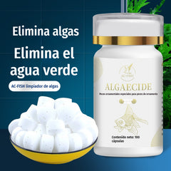 💦【Compre uno y obtenga uno gratis, 200 piezas en total.】🐠Tabletas para el control de algas en acuarios, plantas acuáticas y peces ornamentales; eliminador de algas; elimina el agua verde; previene el crecimiento de algas.