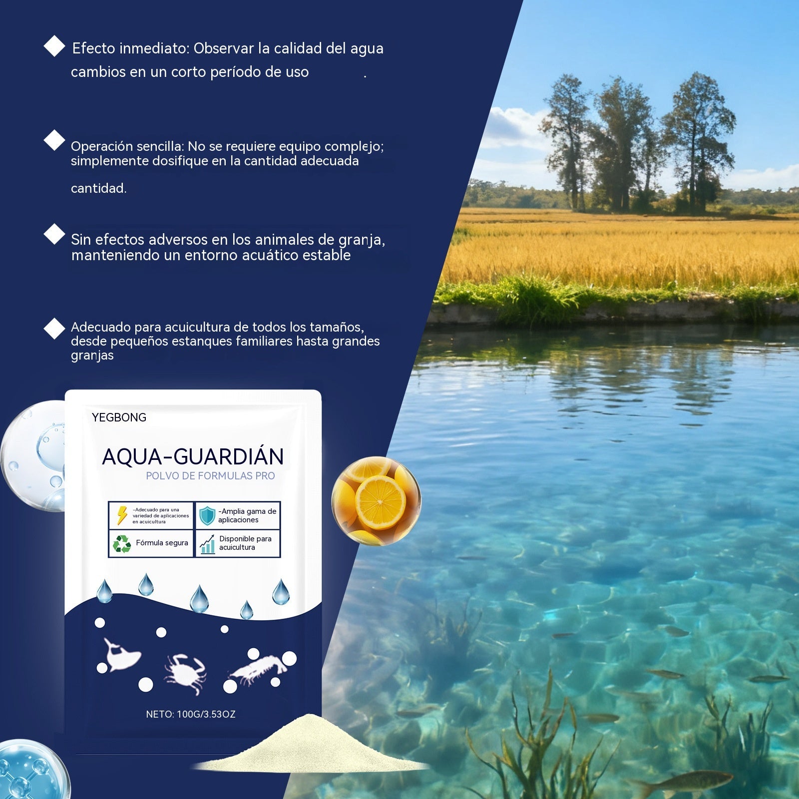 🛡️【Compra 2 y llévate 1 gratis】🔍Agente clarificador profesional: fórmula avanzada, no tóxica, elimina partículas finas y residuos orgánicos. Apto para estanques de koi, acuarios y jardines acuáticos. 🐟💚💦