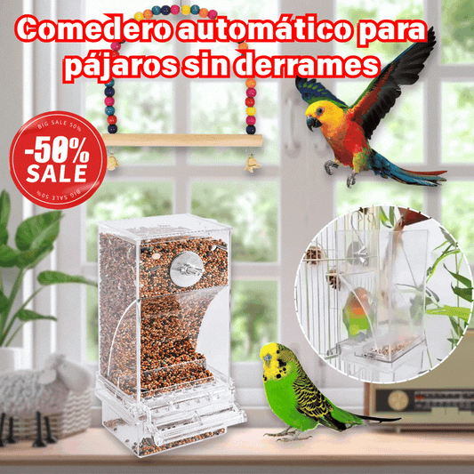 🔥Comedero automático para pájaros sin derrames