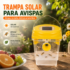 🐝☀️ Trampa solar para avispas para la terraza y el jardín 🔋🌿 - eficaz, recargable y resistente a la intemperie - sin productos químicos, hasta 500 m² - ¡ahorra ahora!