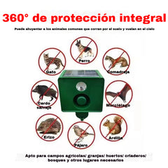 🐅Alarma solar con luz para ahuyentar animales salvajes