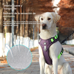 🐕🚶‍♂️Correa ajustable | Mayor comodidad al caminar