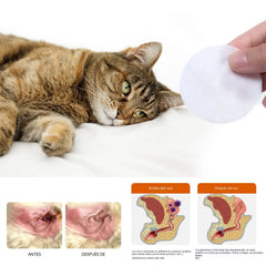 🐶🐱【60pcs】Toallitas para oídos y ojos de mascotas: Limpieza suave, prevención de malos olores y eliminación de ácaros y cerumen.