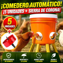 🔥【Paquete de 5 + Sierra de corona】🐔 Comedero automático: una solución práctica para criar pollos, patos y gansos.