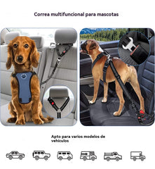 🔥Compre 1 y obtenga 1 gratis（2 piezas）🐾 Correa ajustable para perros para coche