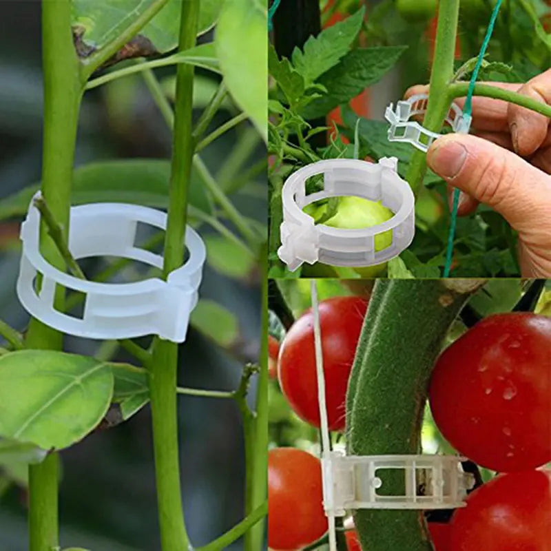 【200 piezas】Clip de fijación para el crecimiento de plantas de plántula