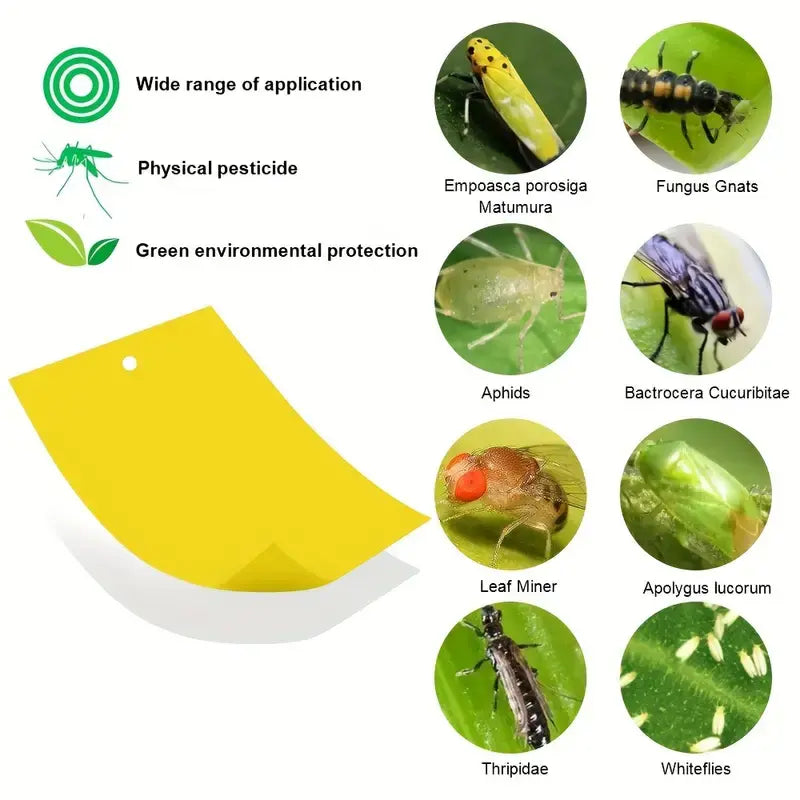 💥【30 Pcs】🦟Trampa de tablero adhesivo de doble cara para insectos