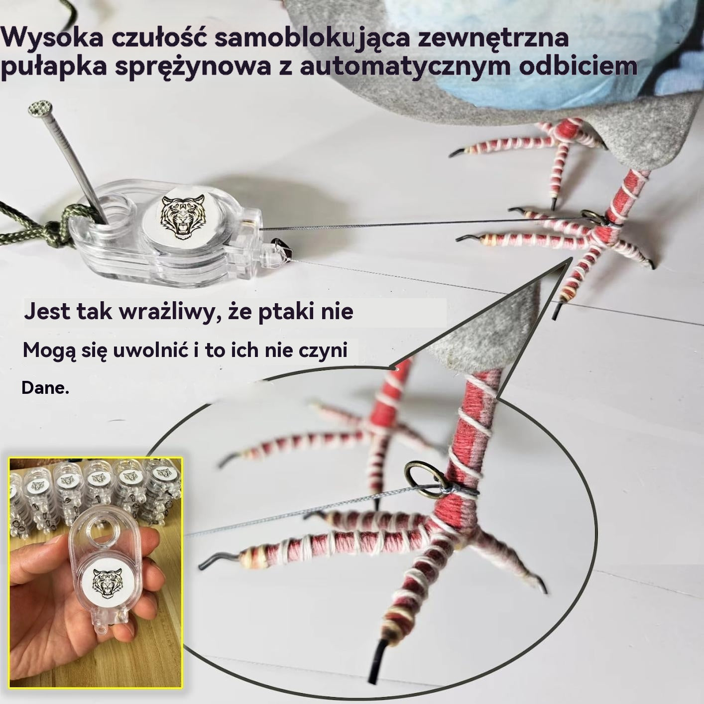 【Kup 2, otrzymaj 2 gratis】Pułapka sprężynowa do użytku na zewnątrz, samoblokująca pułapka o wysokiej czułości.Dzięki funkcji automatycznego odbijania, łatwe łapanie ptaków i drobiu