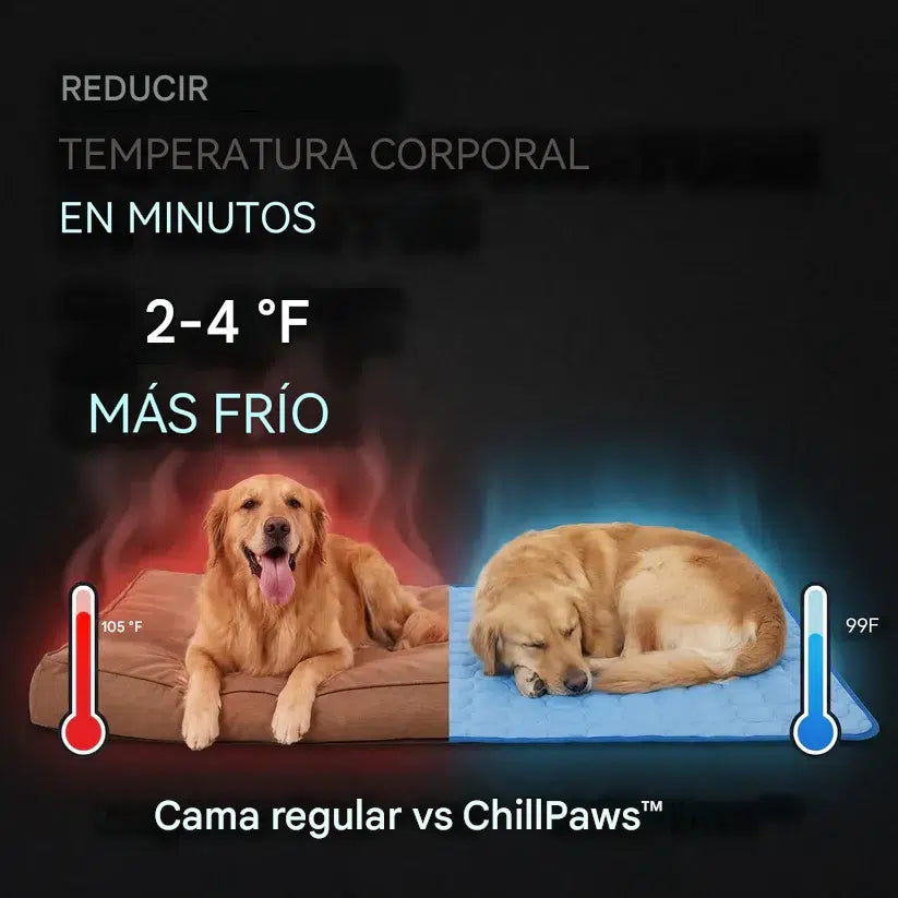 🧊🐶 Alfombrilla refrescante para perros y gatos – el alivio que tus mascotas necesitan este verano 🐱✨