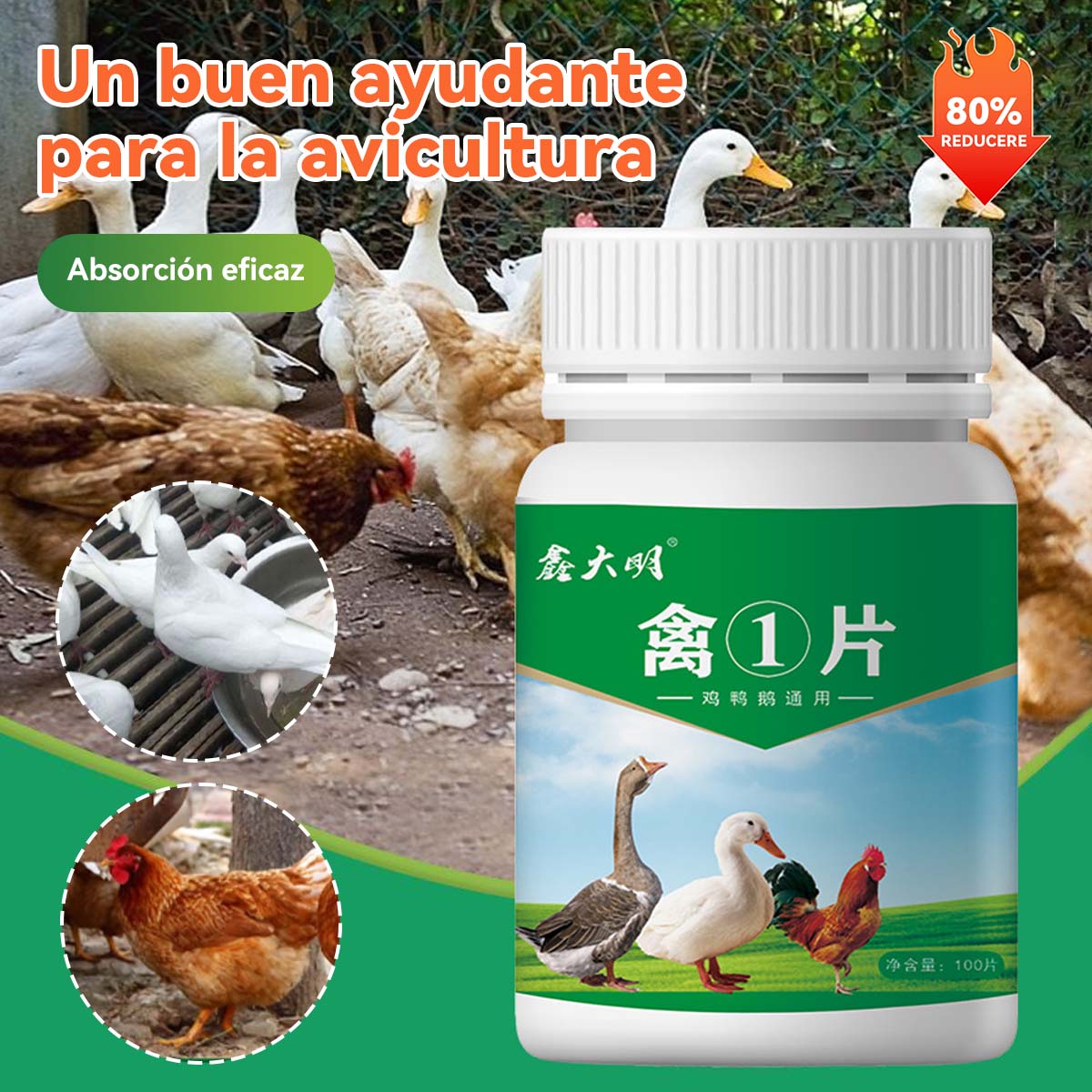 🐓🦆🐔【200 tabletas】Aves de corral ① Tabletas de uso doméstico para la salud intestinal, salud respiratoria, uso en granjas, alimentación general de pollos, patos, gansos y aves de corral