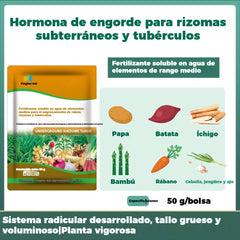 【10 bolsas】Fertilizante foliar instantáneo | Apto para patatas, cacahuetes, boniatos, rábanos, taro y cebollas: favorece el crecimiento de las raíces y aumenta el rendimiento.