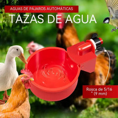 🐔10 piezas 27 euro🐓 Bebederos automáticos para aves de corral con rosca de 5/16 pulgadas