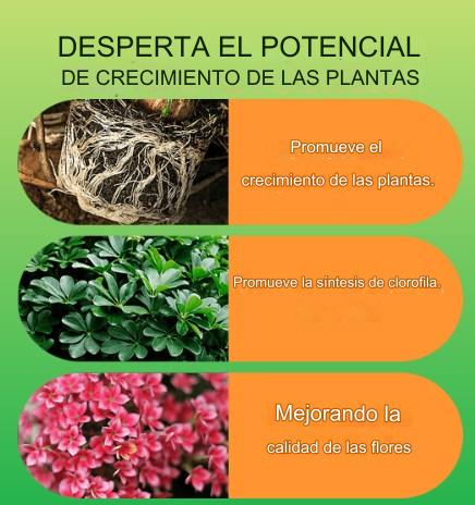 🎁🌱🌱Solución líquida que activa plantas y flores