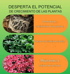 🎁🌱🌱Solución líquida que activa plantas y flores