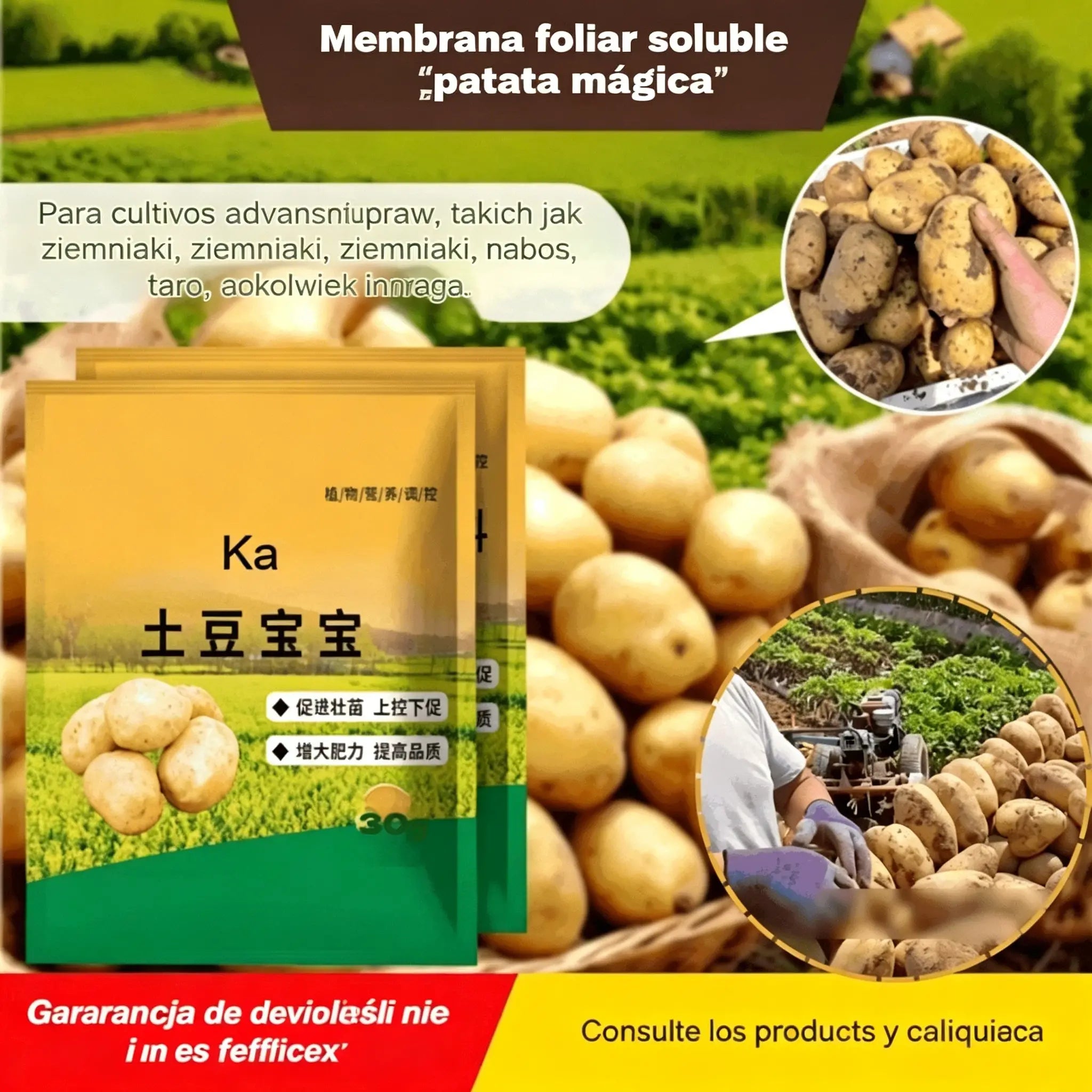 【10 bolsas por 23 euros】Fertilizante foliar soluble "Patata Mágica"｜Para patatas, cacahuetes, batatas, rábanos, taro y cebollas – estimula las raíces y aumenta la producción