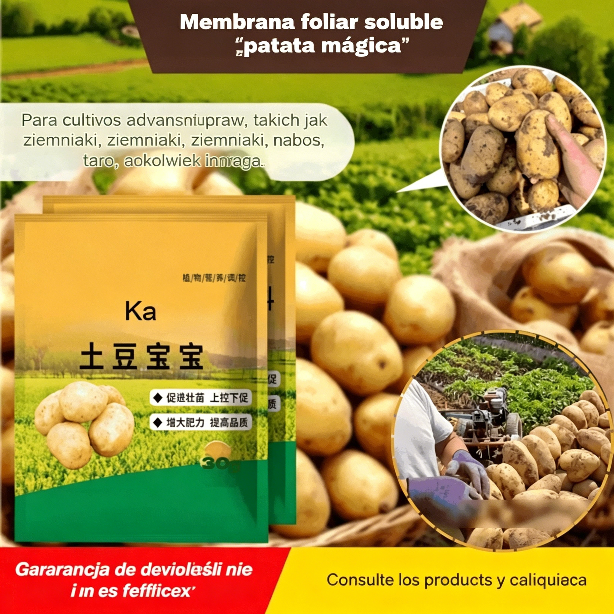 【10 bolsas por 23 euros】 Fertilizante foliar soluble "Patata Mágica"｜Para patatas, cacahuetes, batatas, rábanos, taro y cebollas – estimula las raíces y aumenta la producción