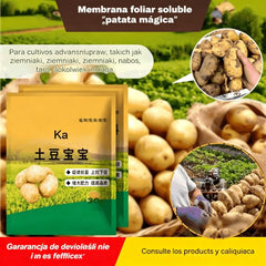 【10 bolsas por 23 euros】Fertilizante foliar soluble "Patata Mágica"｜Para patatas, cacahuetes, batatas, rábanos, taro y cebollas – estimula las raíces y aumenta la producción
