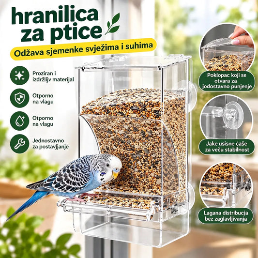 🐦Automatska hranilica za ptice