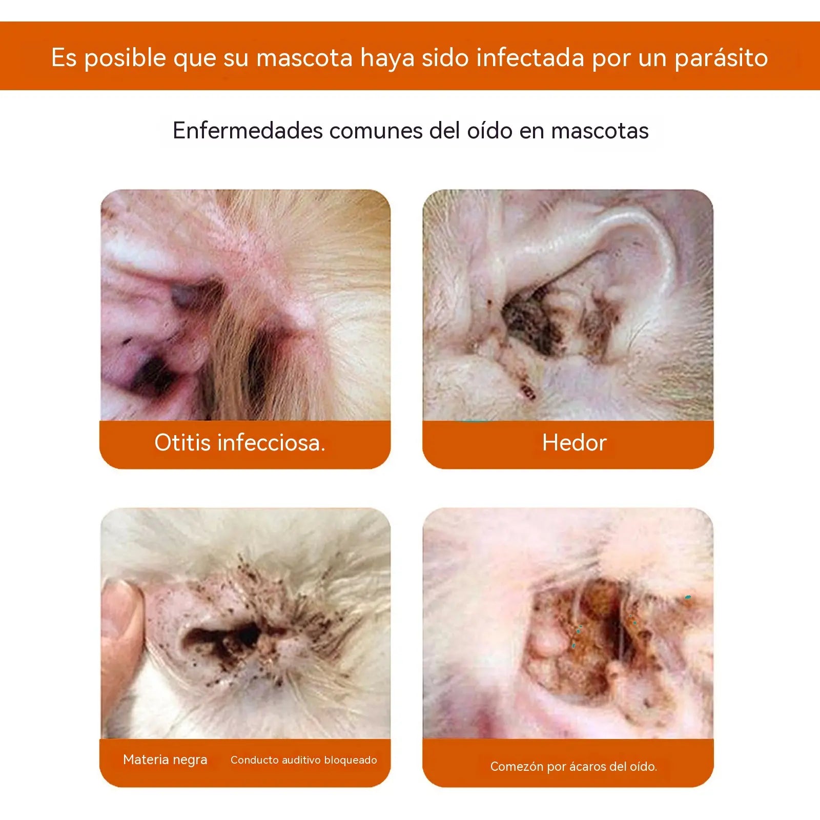 🐶🐱【60pcs】Toallitas para oídos y ojos de mascotas: Limpieza suave, prevención de malos olores y eliminación de ácaros y cerumen.