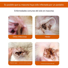 🐶🐱【60pcs】Toallitas para oídos y ojos de mascotas: Limpieza suave, prevención de malos olores y eliminación de ácaros y cerumen.