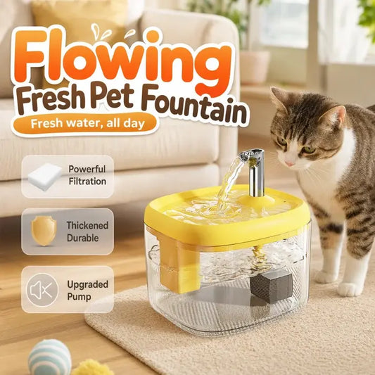 Dispensador de agua para mascotas ilent con cuenco de PET apto para alimentos 🐾 Agua fresca, fluida y perfecta para bebedores exigentes ✨