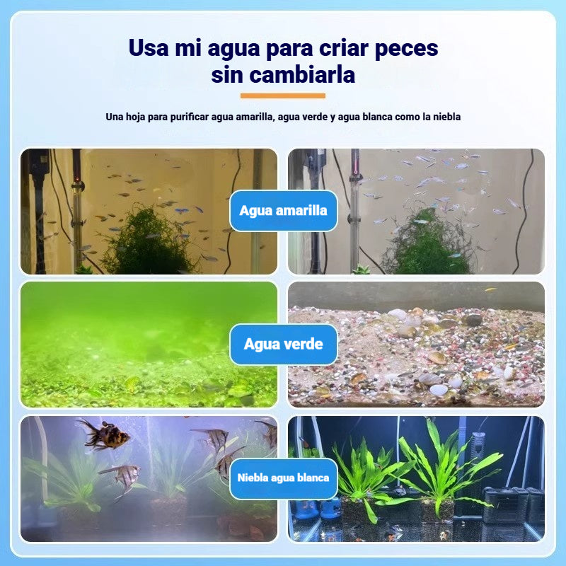 🔥Compra 2 y llévate 2 gratis (4 botellas-400 piezas)🐠🌿 Pastillas purificadoras de agua para acuario
