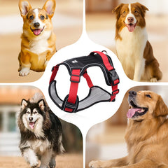 🐶🔥 ¡50% OFF POR TIEMPO LIMITADO! Arnés Antitirones con Correa y Collar ✨ Máximo Control y Seguridad en Cada Paseo 🌙