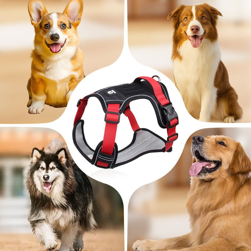 🐶🔥 ¡50% OFF POR TIEMPO LIMITADO! Arnés Antitirones con Correa y Collar ✨ Máximo Control y Seguridad en Cada Paseo 🌙