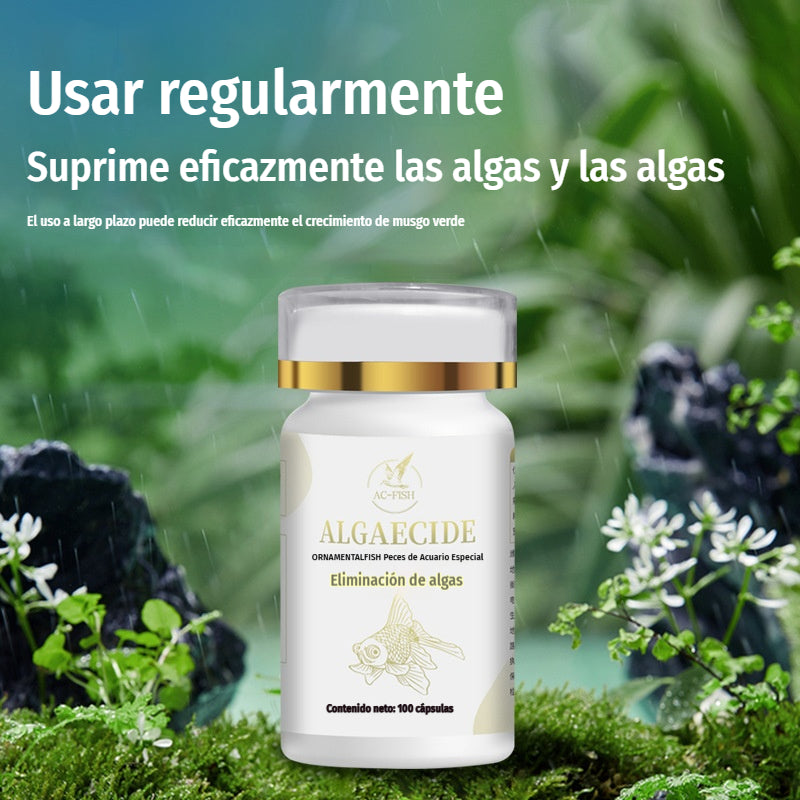 💦【Compre uno y obtenga uno gratis, 200 piezas en total.】🐠Tabletas para el control de algas en acuarios, plantas acuáticas y peces ornamentales; eliminador de algas; elimina el agua verde; previene el crecimiento de algas.