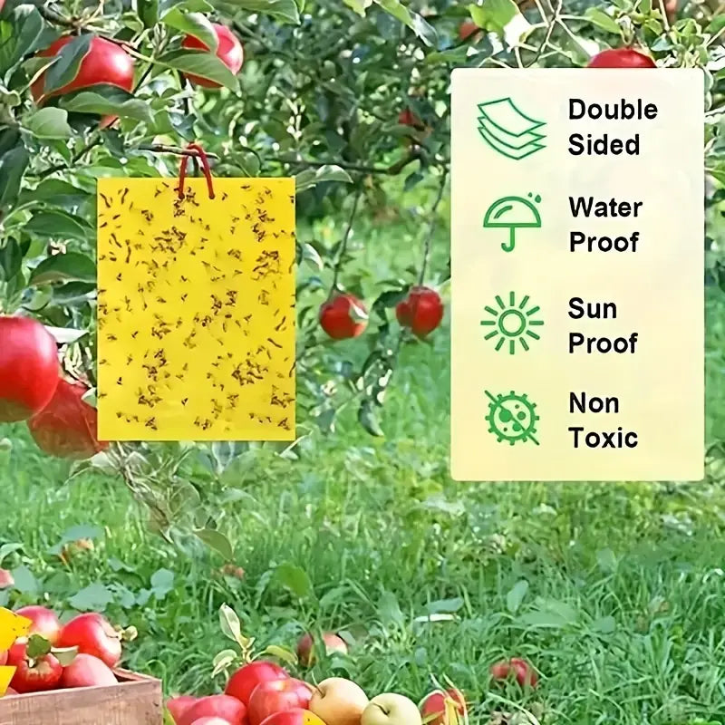 💥【30 Pcs】🦟Trampa de tablero adhesivo de doble cara para insectos