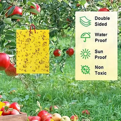 💥【30 Pcs】🦟Trampa de tablero adhesivo de doble cara para insectos