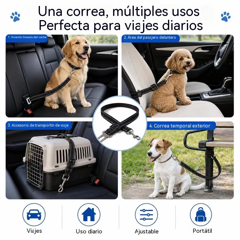 [2 juegos 24 euros] Collar y correa para perro (2 en 1)