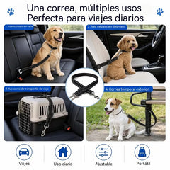 [2 juegos 24 euros] Collar y correa para perro (2 en 1)