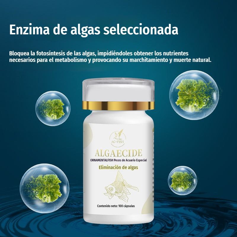 💦【Compre uno y obtenga uno gratis, 200 piezas en total.】🐠Tabletas para el control de algas en acuarios, plantas acuáticas y peces ornamentales; eliminador de algas; elimina el agua verde; previene el crecimiento de algas.