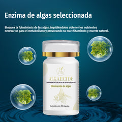 💦【Compre uno y obtenga uno gratis, 200 piezas en total.】🐠Tabletas para el control de algas en acuarios, plantas acuáticas y peces ornamentales; eliminador de algas; elimina el agua verde; previene el crecimiento de algas.