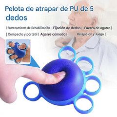 【2 por 24 euros】Pelota ortopédica para la recuperación de dedos y manos, con anillos de fijación, dispositivo de entrenamiento de fuerza y movilidad para personas mayores o con secuelas de un derrame cerebral.