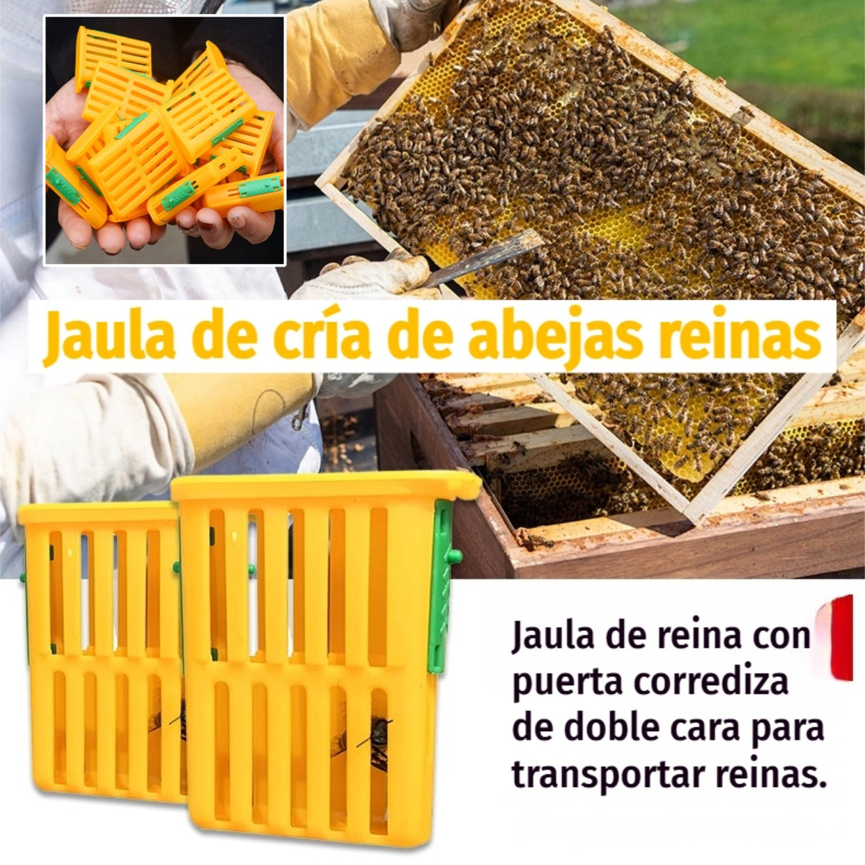 🐝【20 piezas】Jaula de cría de abejas reinas.🐝Jaula de reina con puerta corrediza de doble cara para transportar reinas.