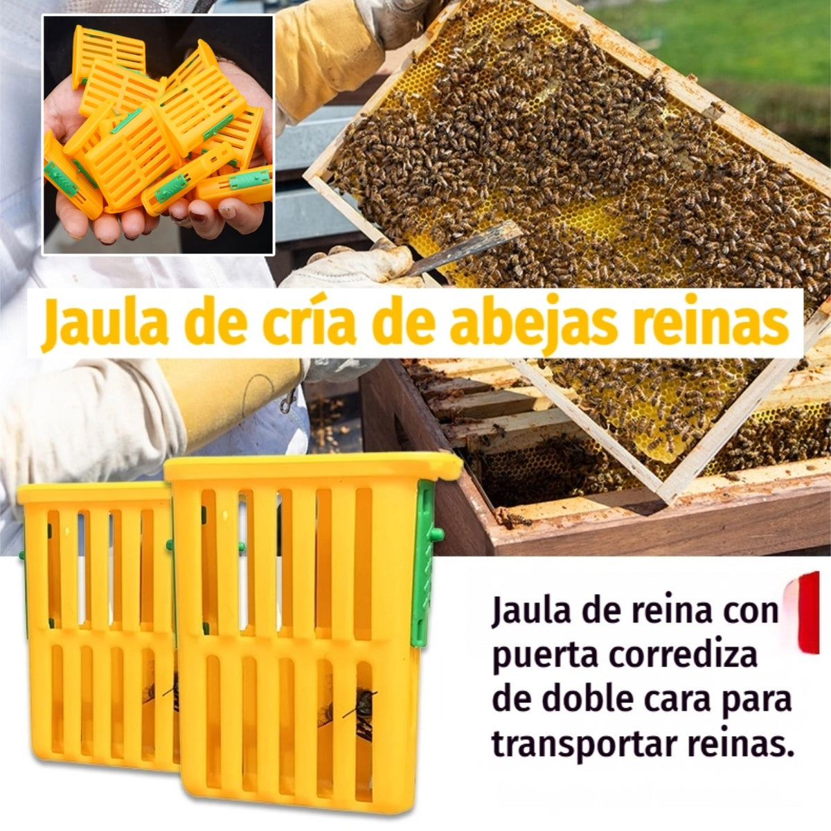 🐝【20 piezas】Jaula de cría de abejas reinas.🐝Jaula de reina con puerta corrediza de doble cara para transportar reinas.